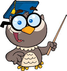 smartowl